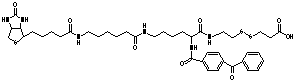 2-{N2-[N alpha-Benzoylbenzoicamido-N6-6-biotinamidocaproyl]lysinylamido}ethyl-2-carboxylethyl Disulfide - Chemical structure and product image