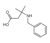 3-(Benzylamino)-3-methylbutanoic Acid - Chemical structure and product image