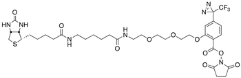 2-[2-[2-[2-[6-(Biotinylaminohexanoyl]aminoethoxy]ethoxy]ethoxy]-4-[3-(trifluoromethyl)-3H-diazirin-3-yl]benzoic Acid N-Hydroxysuccinimide Ester - Chemical structure and product image