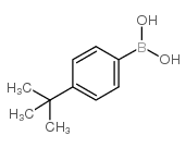 t-Butyl 3-Bromo-5-methylbenzenesulfonamide - Chemical structure and product image