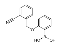 2-(2-Cyanophenylmethoxy)phenylboronic acid - Chemical structure and product image