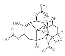 13-Acetyl-9-dihydrobaccatin-III - Chemical structure and product image
