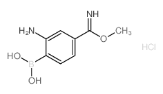 2-Amino-4-(imino(methoxy)methyl)phenylboronic acid, HCl - Chemical structure and product image