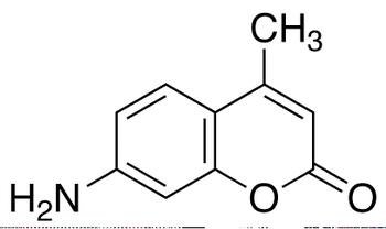1H-Pyrrolo[3,2-c]pyridine-3-carboxylic Acid - Chemical structure and product image