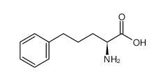 5-tert-Butyl-2-(chloromethyl)oxazole - Chemical structure and product image