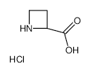 3-Hydroxy-5-(methoxycarbonyl)phenylboronic Acid Pinacol Ester - Chemical structure and product image