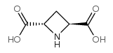 2-Methyl-5-(methylsulfonyl)aniline - Chemical structure and product image