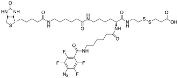 2-{N2-[N6-(4-Azido-2,3,5,6-tetrafluorobenzoyl)-6 -aminocaproyl]-N6-(6-biotinamidocaproyl)-L -lysinylamido}] Ethyl 2-Carboxyethyl Disulfide - Chemical structure and product image