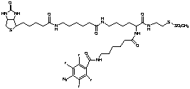 2-{N2-[N6-(4-Azido-2,3,5,6-tetrafluorobenzoyl)-6- aminocaproyl]-N6-(6-biotinamidocaproyl)-L -lysinylamido}ethyl Methanethiosulfonate - Chemical structure and product image