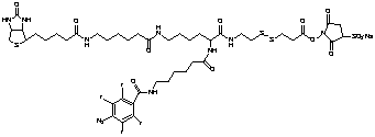 2-{N2-[N6-(4-Azido-2,3,5,6-tetrafluorobenzoyl)-6 -aminocaproyl]-N6-(6-biotinamidocaproyl)-L-lysinylamido}] Ethyl 2-(N-Sulfosuccinimydylcarboxy)ethyl Disulfide, Sodium Salt - Chemical structure and product image