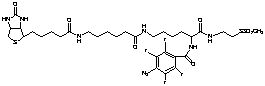 2-[N2-(4-Azido-2,3,5,6-tetrafluorobenzoyl)-N6-(6-biotinamidocaproyl)-L-lysinyl]ethyl Methanethiosulfonate - Chemical structure and product image