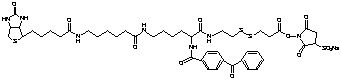 2-{N2-[N alpha-Benzoylbenzoicamido-N6-6-biotinamidocaproyl]lysinylamido}ethyl-2-(N-sulfosuccinimidylcarboxy)ethyl Disulfide Sodium Salt - Chemical structure and product image
