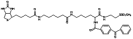 2-[N alpha-Benzoylbenzoicamido-N6-(6-biotinamidocaproyl)-L-lysinylamido]ethyl Methanethiosulfonate - Chemical structure and product image