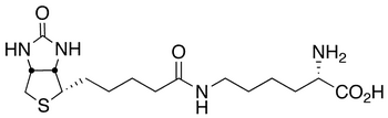 Biocytin - Chemical structure and product image