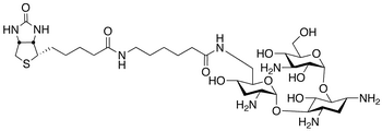 Biotinamidocaproate Tobramycin Amide - Chemical structure and product image