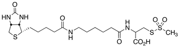 N-[6-(Biotinamido)hexanoyl]-(R)-2-amino-2-carboxyethylmethanethiosulfonate - Chemical structure and product image