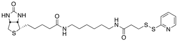 Biotin HPDP - Chemical structure and product image