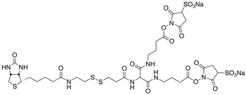 6-[2-Biotinylamidoethyl]-dithiopropionamido]-5,9-diaza-6,8-diketotridecanoic Acid Bis-N-sulfosuccinimidyl Ester Disodium Salt - Chemical structure and product image