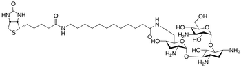 N-Biotinyl-12-aminododecanoyltobramycin Amide - Chemical structure and product image