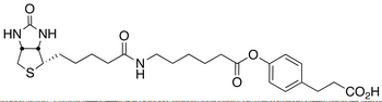 3-(4-(N-Biotinoyl-6-aminocaproyloxy)phenyl)propionic Acid - Chemical structure and product image