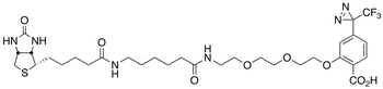 2-[2-[2-[2-[6-(Biotinylaminohexanoyl]aminoethoxy]ethoxy]ethoxy]-4-[3-(trifluoromethyl)-3H-diazirin-3-yl]benzoic Acid - Chemical structure and product image