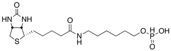 6-N-Biotinylaminohexyl Hydrogenphosphonate - Chemical structure and product image