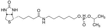 6-N-Biotinylaminohexyl Isopropyl Hydrogenphosphonate - Chemical structure and product image