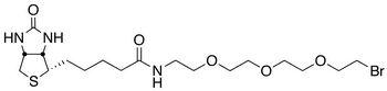 1-Biotinylamino-3,6,9-trioxaundecane-11-bromide - Chemical structure and product image