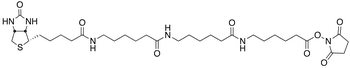 N-Biotinylcaproylaminocaproylaminocaproyl N-Hydroxysuccinimide - Chemical structure and product image