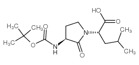 Boc-freidingerâ€™s lactam - Chemical structure and product image