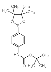 4-Boc-aminophenylboronic Acid Pinacol Ester - Chemical structure and product image