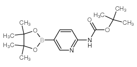 2-(Boc-amino)pyridine-5-boronic Acid Pinacol Ester - Chemical structure and product image