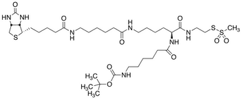 2-[N2-(N6-t-Boc-6-aminocaproyl)-N6-(6-biotinamidocaproy)-L -lysinylamido]ethyl Methanethiosulfonate - Chemical structure and product image