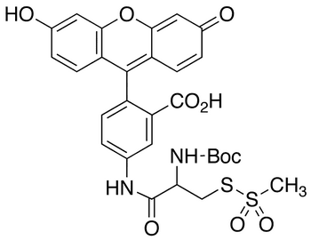 (L)-2-[(t-Boc)amino]-2-[(5-Fluoresceinyl)aminocarbonyl]ethyl Methanethiosulfonate - Chemical structure and product image
