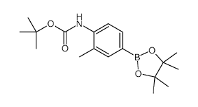 4-(Boc-Amino)-3-methylphenylboronic acid, pinacol ester - Chemical structure and product image