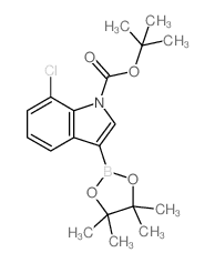 1-BOC-7-Chloroindole-3-boronic acid, pinacol ester - Chemical structure and product image