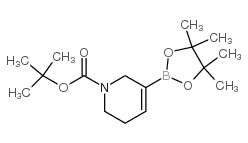 1-Boc-5,6-dihydro-2H-pyridine-3-boronic acid pinacol ester - Chemical structure and product image