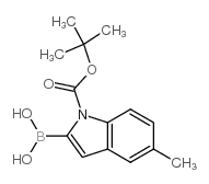 1-BOC-5-methylindole-2-boronic acid - Chemical structure and product image