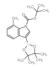1-BOC-7-Methylindole-3-boronic acid, pinacol ester - Chemical structure and product image