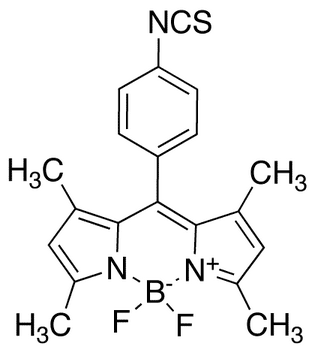 Bodipy Isothiocyanate - Chemical structure and product image