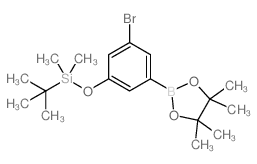 3-Bromo-5-t-butyldimethylsilyloxyphenylboronic acid, pinacol ester - Chemical structure and product image