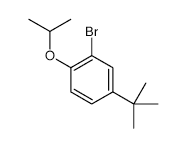 2-Bromo-4-t-butyl-1-isopropoxybenzene - Chemical structure and product image