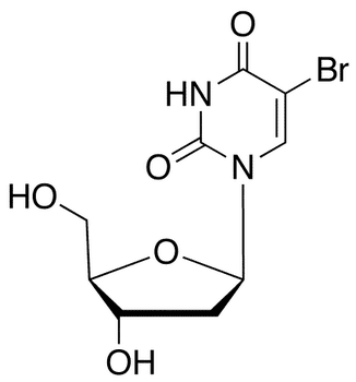5-Bromo-2â€™-deoxyuridine - Chemical structure and product image