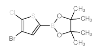 4-Bromo-5-chlorothiophene-2-boronic acid, pinacol ester - Chemical structure and product image