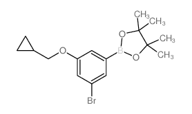 3-Bromo-5-(cyclopropylmethoxy)phenylboronic acid, pinacol ester - Chemical structure and product image