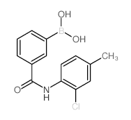 3-Borono-N-(2-chloro-4-methylphenyl)benzamide - Chemical structure and product image