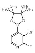 3-Bromo-2-fluoropyridine-4-boronic Acid Pinacol Ester - Chemical structure and product image