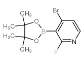 4-Bromo-2-fluoropyridine-3-boronic Acid Pinacol Ester - Chemical structure and product image
