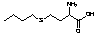 L-Buthionine - Chemical structure and product image