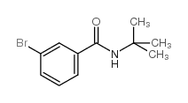 N-t-Butyl 3-bromobenzamide - Chemical structure and product image